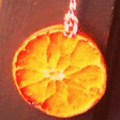 Orange de No�l